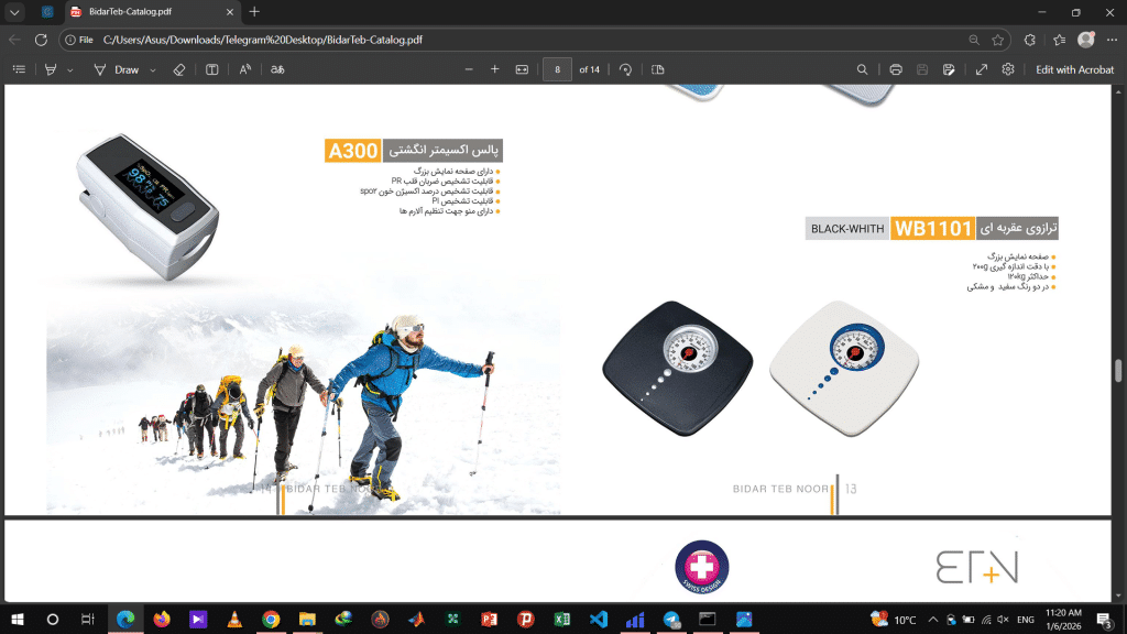 ترازو عقربه ای WB1101